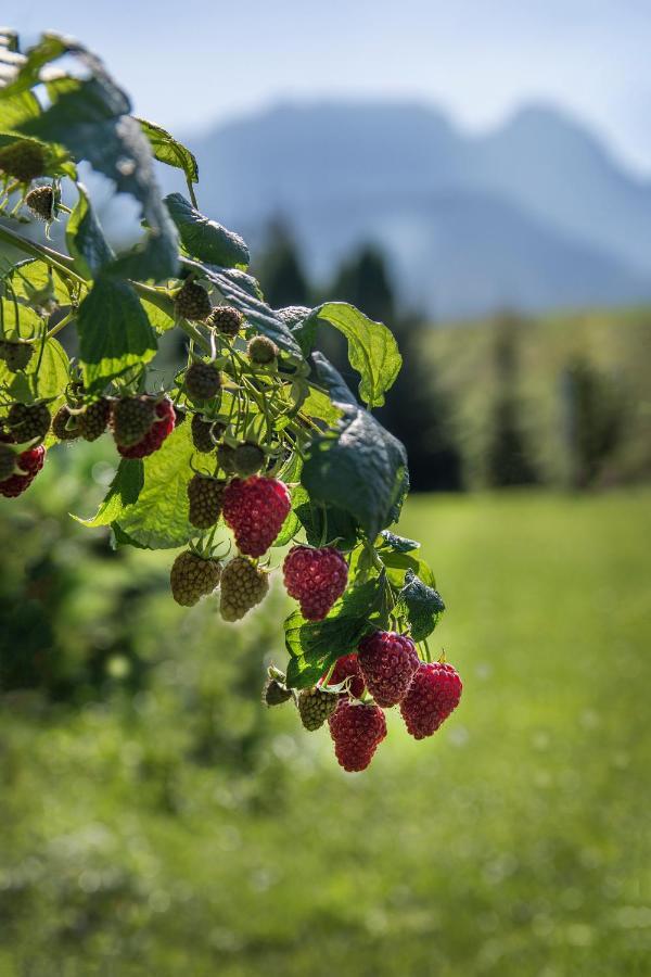 Fiedorowka * Zakopane